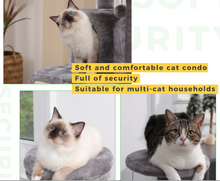Load image into Gallery viewer, Luxury Cat Tree - Climbing Frame, Scratch Board Toy - Medium Size