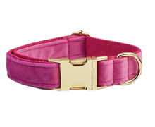 Load image into Gallery viewer, Luxury Pet Leash Engraved Name ID Tag + Collar + Bow/Flower - Free Engraving Personalise + Harness + Poop Bag (all Sizes)