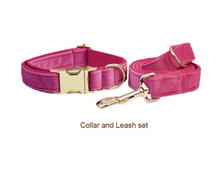 Load image into Gallery viewer, Luxury Pet Leash Engraved Name ID Tag + Collar + Bow/Flower - Free Engraving Personalise + Harness + Poop Bag (all Sizes)