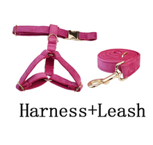 Load image into Gallery viewer, Luxury Pet Leash Engraved Name ID Tag + Collar + Bow/Flower - Free Engraving Personalise + Harness + Poop Bag (all Sizes)