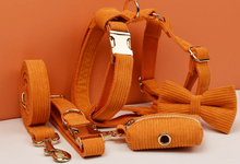 Load image into Gallery viewer, Luxury Pet Leash Engraved Name ID Tag + Collar + Bow Tie - Free Engraving Personalise + Harness + Poop Bag (all Sizes)