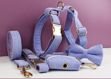 Load image into Gallery viewer, Luxury Pet Leash Engraved Name ID Tag + Collar + Bow Tie - Free Engraving Personalise + Harness + Poop Bag (all Sizes)