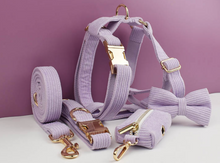 Load image into Gallery viewer, Luxury Pet Leash Engraved Name ID Tag + Collar + Bow Tie - Free Engraving Personalise + Harness + Poop Bag (all Sizes)
