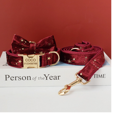 Load image into Gallery viewer, Luxury Pet Leash Engraved Name ID Tag + Collar + Bow - Free Engraving Personalise (all Sizes)