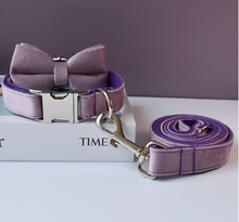 Load image into Gallery viewer, Luxury Pet Leash Engraved Name ID Tag + Collar + Bow - Free Engraving Personalise (all Sizes) + Many Styles/Colours
