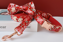 Load image into Gallery viewer, Luxury Pet Leash Engraved Name ID Tag + Collar + Bow - Free Engraving Personalise (all Sizes) + Many Styles/Colours