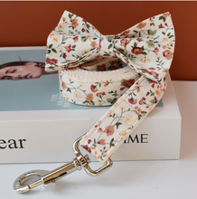 Load image into Gallery viewer, Luxury Pet Leash Engraved Name ID Tag + Collar + Bow - Free Engraving Personalise (all Sizes)