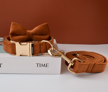 Load image into Gallery viewer, Luxury Pet Leash Engraved Name ID Tag + Collar + Bow - Free Engraving Personalise (all Sizes) + Many Styles/Colours