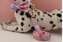 Load image into Gallery viewer, Luxury Pet Leash Engraved Name ID Tag + Collar + Bow - Free Engraving Personalise (all Sizes) + Many Styles/Colours
