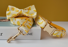 Load image into Gallery viewer, Luxury Pet Leash Engraved Name ID Tag + Collar + Bow - Free Engraving Personalise (all Sizes)