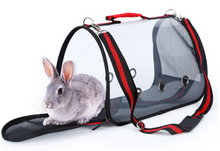 Load image into Gallery viewer, Transport Carrier - Canary, Lovebird, Budgie, Finch, Rabbit, Rat, Mouse Carry Cage + Perch (Medium)