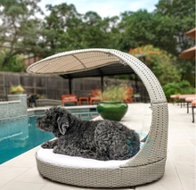 Load image into Gallery viewer, Copy of Luxury Plus Furniture - Nordic Rattan Pet Chair Bed Sunshade