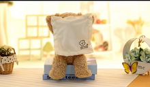 Load image into Gallery viewer, Children's T Bear "Peek-a-Boo" Electric Facial Turning Plush Movable Bear
