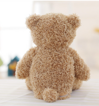 Load image into Gallery viewer, Children's T Bear "Peek-a-Boo" Electric Facial Turning Plush Movable Bear
