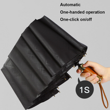 Load image into Gallery viewer, "Arna Collection" Designer Exquisite Business Umbrella foldable - Highest Quality
