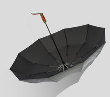 Load image into Gallery viewer, "Arna Collection" Designer Exquisite Business Umbrella foldable - Highest Quality
