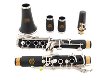 Load image into Gallery viewer, Clarinet 17 Key Sib German/ABS Clarinet
