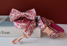 Load image into Gallery viewer, Luxury Pet Leash Engraved Name ID Tag + Collar + Bow - Free Engraving Personalise (all Sizes) + Many Styles/Colours
