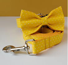 Load image into Gallery viewer, Luxury Pet Leash Engraved Name ID Tag + Collar + Bow - Free Engraving Personalise (all Sizes) + Many Styles/Colours
