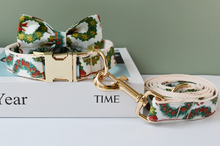 Load image into Gallery viewer, Luxury Pet Leash Engraved Name ID Tag + Collar + Bow - Free Engraving Personalise (all Sizes) + Many Styles/Colours
