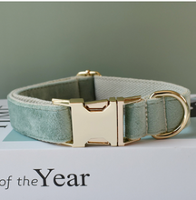 Load image into Gallery viewer, Luxury Pet Leash Engraved Name ID Tag + Collar + Bow - Free Engraving Personalise (all Sizes)

