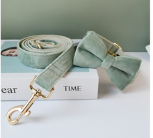 Load image into Gallery viewer, Luxury Pet Leash Engraved Name ID Tag + Collar + Bow - Free Engraving Personalise (all Sizes)
