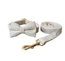 Load image into Gallery viewer, Luxury Pet Leash Engraved Name ID Tag + Collar + Bow - Free Engraving Personalise (all Sizes)
