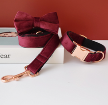 Load image into Gallery viewer, Luxury Pet Leash Engraved Name ID Tag + Collar + Bow - Free Engraving Personalise (all Sizes)
