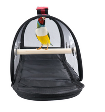 Load image into Gallery viewer, Transport Carrier - Canary, Lovebird, Budgie, Finch, Rabbit, Rat, Mouse Carry Cage + Perch (Small)

