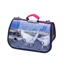 Load image into Gallery viewer, Transport Carrier - Canary, Lovebird, Budgie, Finch, Rabbit, Rat, Mouse Carry Cage + Perch (Small)
