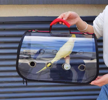 Load image into Gallery viewer, Transport Carrier - Canary, Lovebird, Budgie, Finch, Rabbit, Rat, Mouse Carry Cage + Perch (Small)
