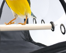 Load image into Gallery viewer, Transport Carrier - Canary, Lovebird, Budgie, Finch, Rabbit, Rat, Mouse Carry Cage + Perch (Large)
