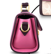 Load image into Gallery viewer, Limited Edition - Luxury Designer Multi-Coloured Horse &amp; Carriage Handbag
