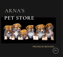 Load image into Gallery viewer, Luxury Pet Leash Engraved Name ID Tag + Collar + Bow - Free Engraving Personalise (all Sizes)
