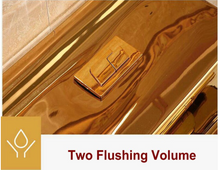 Load image into Gallery viewer, Artistic Plain Golden One Piece Close stool Siphon Flushing S-Trap Floor Mounted Luxious Villa Bathroom Seat Toilet
