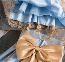 Load image into Gallery viewer, "Arna" Royal Gown Collection - Embroidered Formal Princess Dress
