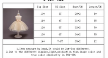 Load image into Gallery viewer, "Arna" Royal Gown Collection - Rainbow Princess Dresses

