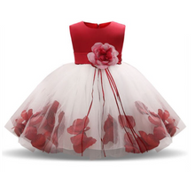 Load image into Gallery viewer, "Arna" Royal Gown Collection - Flower Tulle Toddler Kids Christening Costume Newborn Baby Girl Birthday Dress
