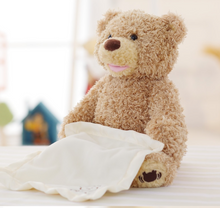 Load image into Gallery viewer, Children's T Bear "Peek-a-Boo" Electric Facial Turning Plush Movable Bear
