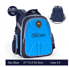 Load image into Gallery viewer, "Arna's Designer School Bags" New High Quality OXFORD Orthopedic School Bag
