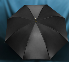 Load image into Gallery viewer, "Arna Collection" Designer Exquisite Umbrella - Highest Quality
