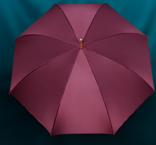 Load image into Gallery viewer, "Arna Collection" Designer Exquisite Umbrella - Highest Quality
