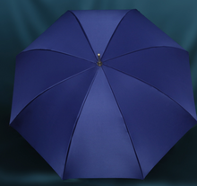 Load image into Gallery viewer, "Arna Collection" Designer Exquisite Umbrella - Highest Quality
