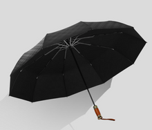 Load image into Gallery viewer, "Arna Collection" Designer Exquisite Business Umbrella foldable - Highest Quality
