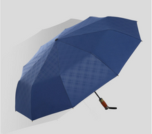 Load image into Gallery viewer, "Arna Collection" Designer Exquisite Business Umbrella foldable - Highest Quality
